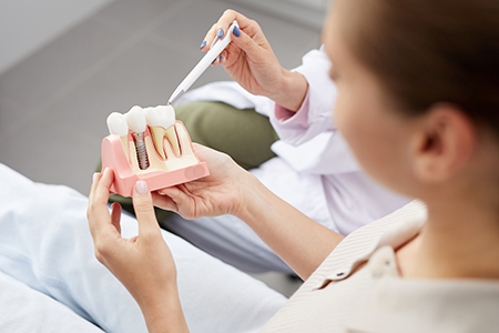 A dental professional holding a tooth model while seated at a desk with dental tools.